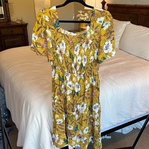 Cute Roolee dress in a size M